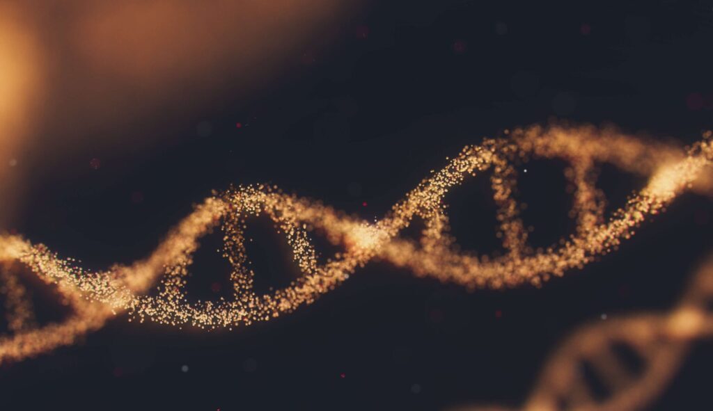 Strand of DNA