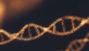 Strand of DNA